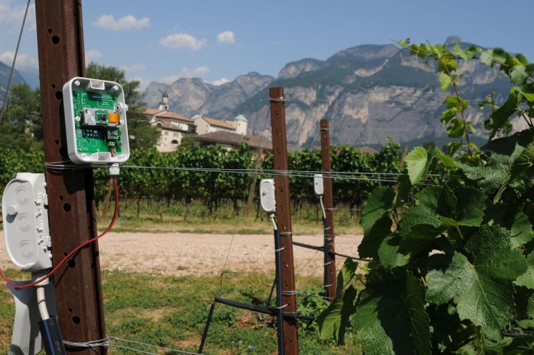 Vino. La Fondazione Mach lancia un seminario sulla tecnologia in vigneto