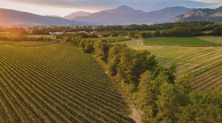 Al via oggi in Franciacorta la prima Conferenza Internazionale sul Vino