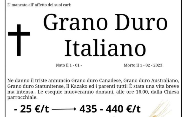 Crollo del grano duro: – 130 euro a tonnellata da giugno 2022, ma i costi aumentano. Allarme Cia: Tutta la filiera a rischio