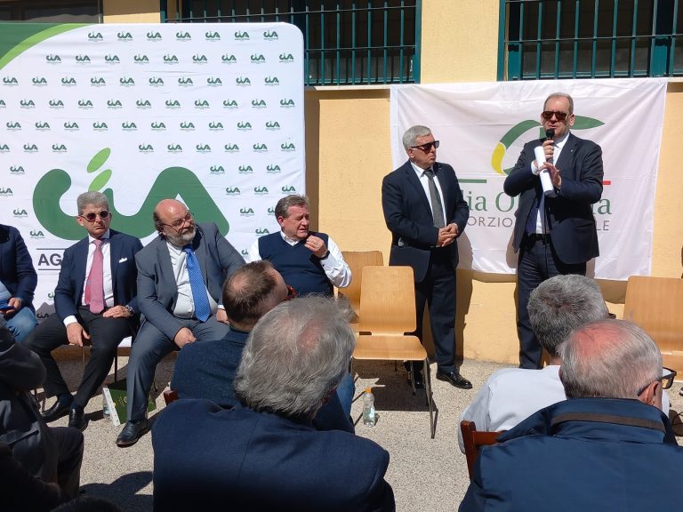 Piano olivicolo e Commissario anti-Xylella. Italia Olivicola: ‘Puglia vale 60% produzione olivicola italiana, deve contare di più dove si decide’