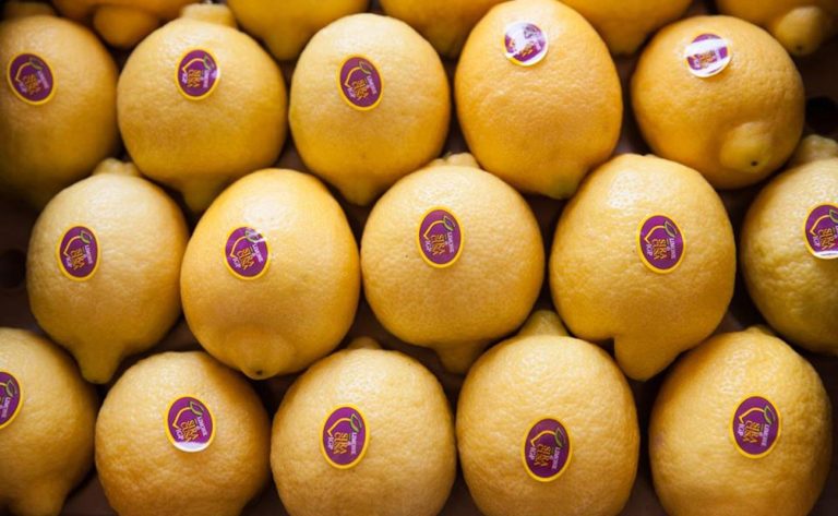 Ortofrutta. Il limone è uno dei frutti più acquistati in Italia e l’identità territoriale è vincente