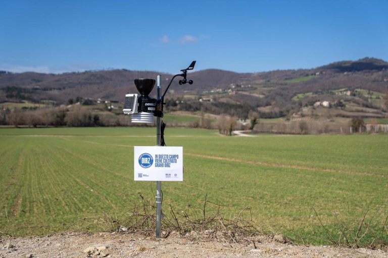 In Umbria xFarm e Molini Fagioli insieme per la digitalizzazione della filiera grano tenero