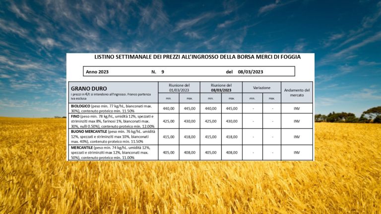 Grano duro. Quotazioni invariate questa settimana (8 marzo) a Borsa Foggia. Il Fino resta a 425-430 euro