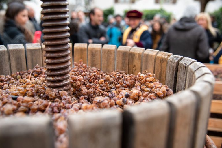 Il Trentino brinda alla sua DiVin Nosiola