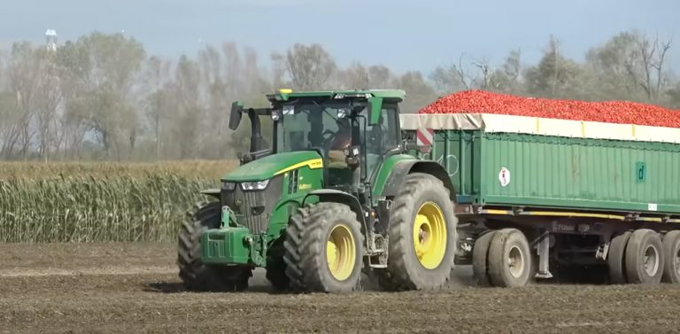 Furti. Nel piacentino è caccia al ladro. La denuncia di un imprenditore e di Confagricoltura