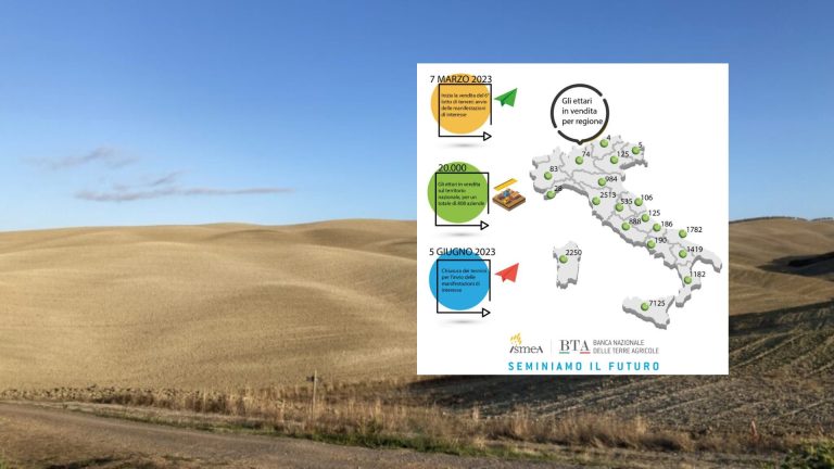 Banca nazionale Terre agricole: 20 mila ettari a disposizione, ecco dove sono. Domande Ismea fino al 5 giugno