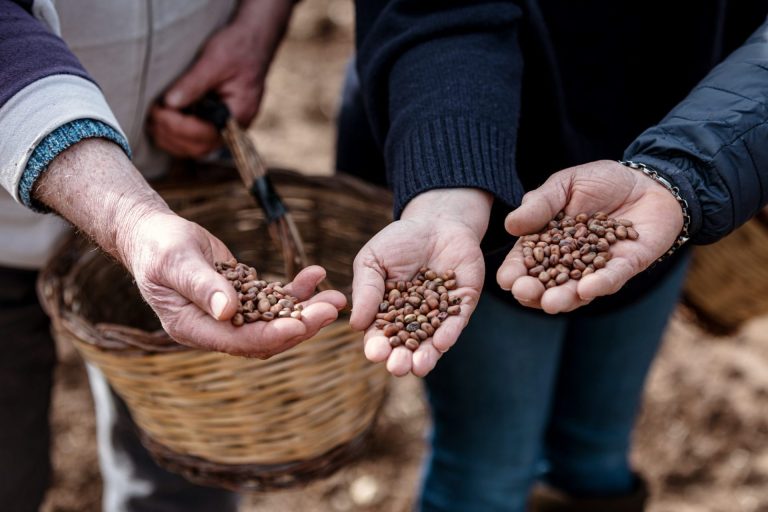 Umbria Primavera in Cammino. Il 15 aprile trekking a Amelia e degustazione dei prodotti di “Amerino Tipico”,