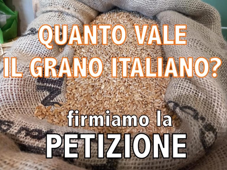 Le “città del grano”: già 12 comuni pugliesi hanno aderito alla petizione CIA