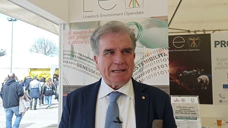 Carne sintetica? Roberto Nocentini (Aia): Nessuna preoccupazione per gli allevatori italiani