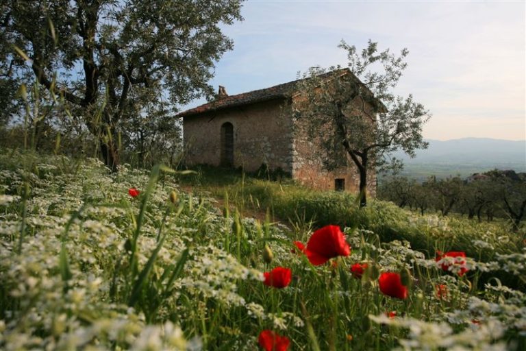 Il 29, 30 aprile e 1° maggio 2023 a Trevi torna il “PicNic più famoso d’Italia” nella collina olivata