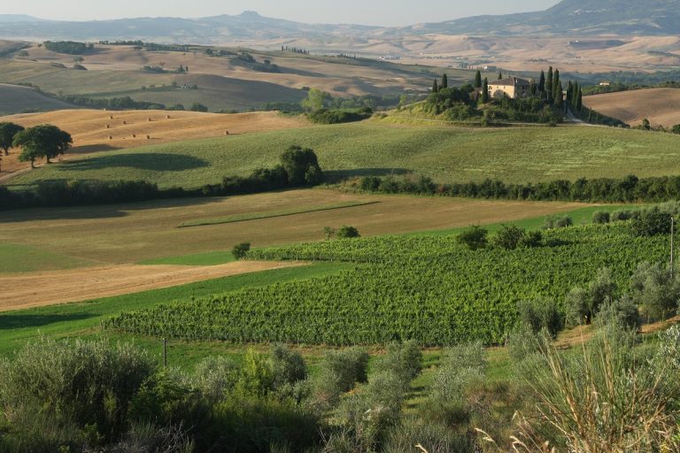 La Val d’Orcia nel calice. Dal 22 al 25 è Orcia Wine Festival a San Quirico d’Orcia