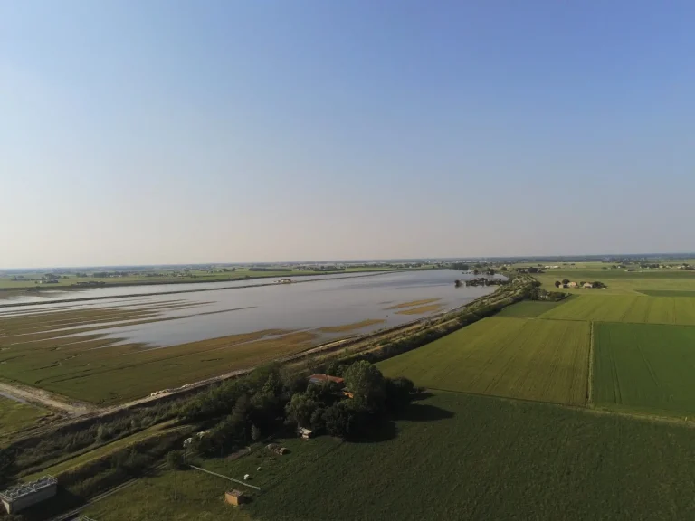 Agricoltura bloccata dalla pioggia incessante, l’allarme di Confagricoltura Emilia Romagna: I terreni sono saturi, si rischiano di compromettere filiere strategiche