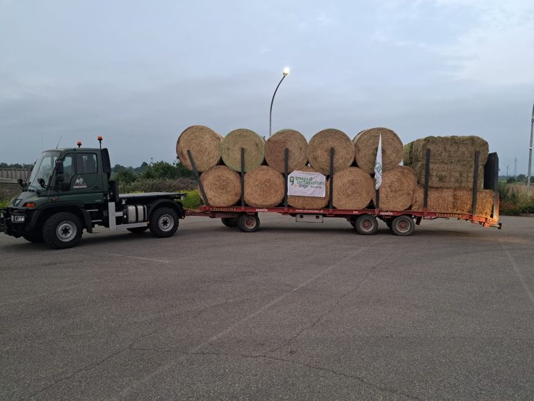 Fieno per le aziende alluvionate della Romagna dai giovani di Confagricoltura