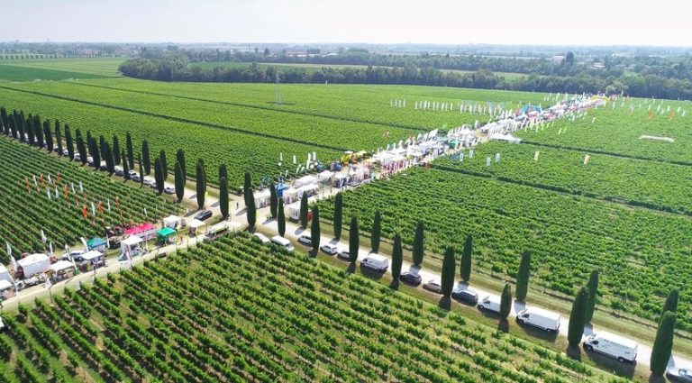 Vino. Dal 7 all’8 giugno Enovitis in Campo con il meglio della meccanizzazione per il vigneto