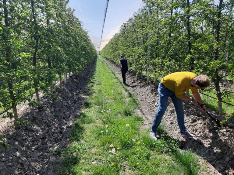 Mappatura della fertilità del suolo. I risultati del progetto di ricerca sull’Agricoltura Simbiotica di Joinfruit