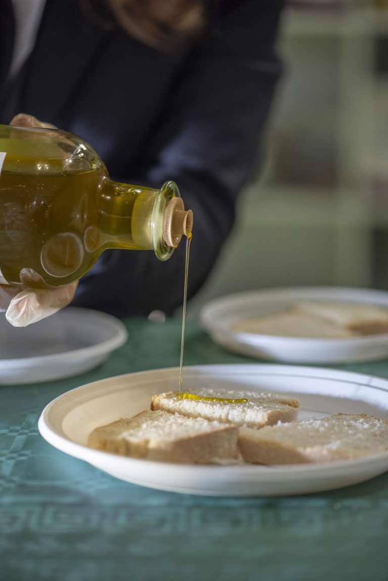 Olio: Il CREA presenta la Carta degli Extravergini d’oliva della Calabria