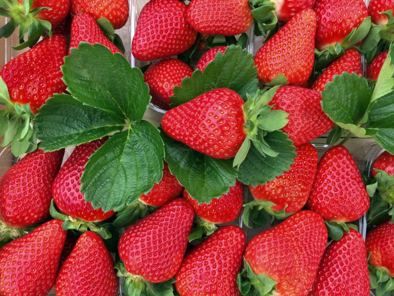 A San Valentino non solo fiori: fragole, frutta esotica e ostriche con prezzi in forte rialzo secondo BMTI