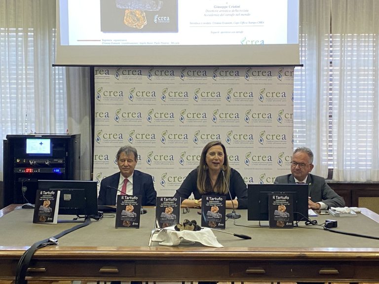 Tartufo: presentato oggi al CREA il Dizionario internazionale in 5 lingue