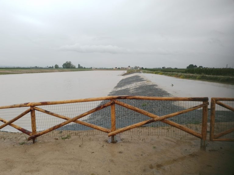 Alluvione. Agricoltura, le prime stime: il 42% della superficie agricola colpito dagli eventi, 64 mila lavoratori interessati, danni per miliardi