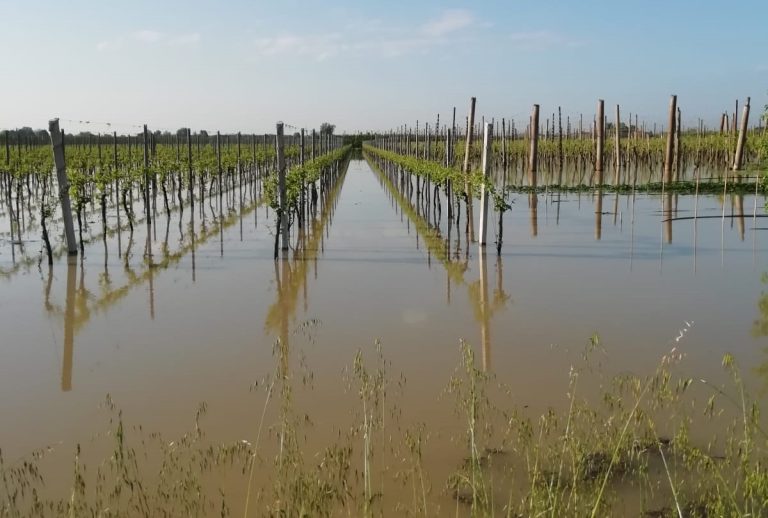 Prestiti MIA: dal 27 luglio in corso le erogazioni. Lollobrigida: acceleriamo ricostruzione e sosteniamo le nostre produzioni