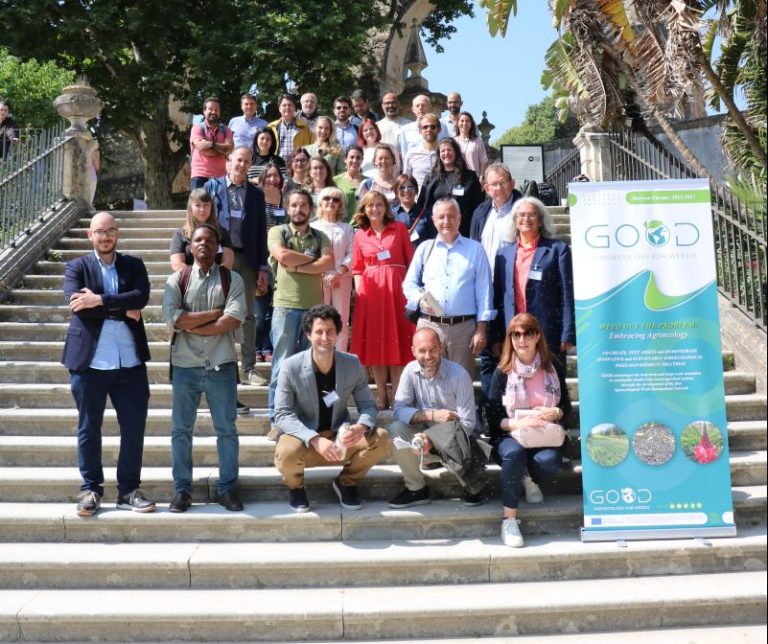 Ridurre gli erbicidi in agricoltura grazie ai microrganismi presenti nel terreno