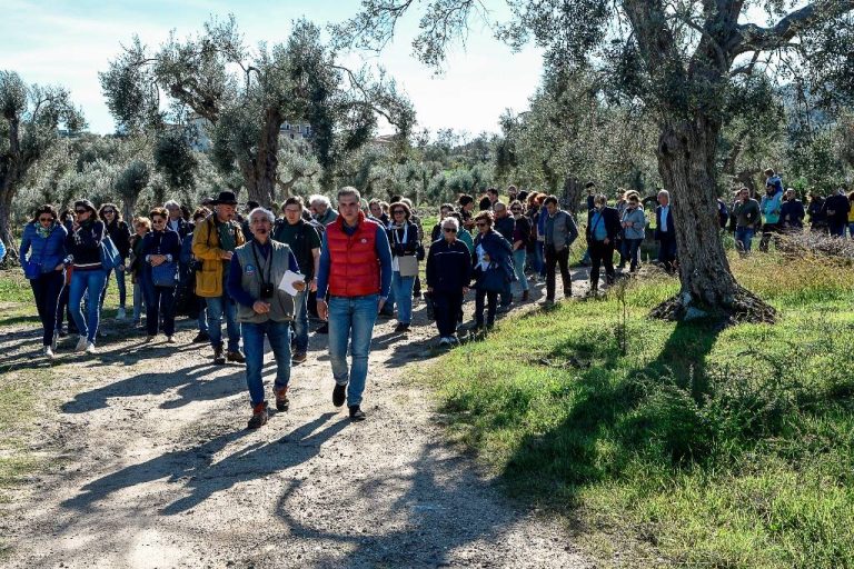 Olio. A Matera gli Stati Generali del settore con ospiti da tutto il mondo chiamati da Città dell’Olio