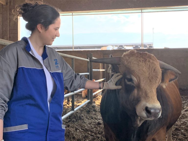 Zootecnia. A Cologna Veneta la giovane Giulia Agostini, l’allevatrice che coccola gli animali