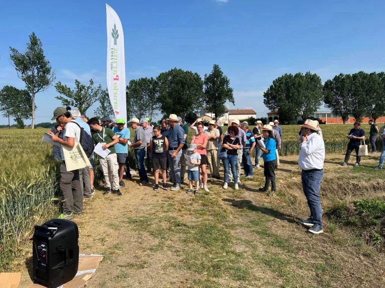 Con Demo Frumenti 2023 del CAP, agricoltori in campo alla scoperta dei migliori grani della stagione