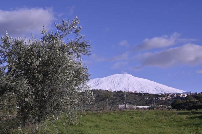 Olio. Il Monte Etna DOP alla ribalta con un tour di presentazione a trade e stampa