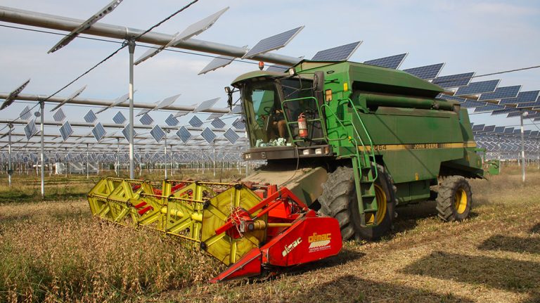 Parco Agrisolare: 1,1 miliardi di euro già assegnati dal Masaf per i progetti legati al PNRR