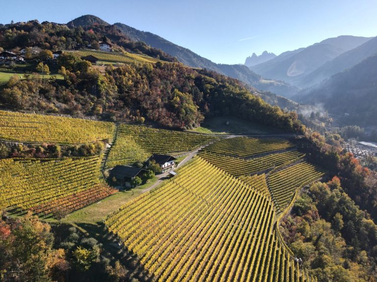 Enovitis Extreme: il 13 luglio in Alto Adige l’enologia eroica