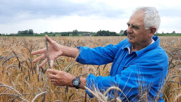 Grani antichi. Ad Ariano nel Polesine l’8 luglio gli stati generali