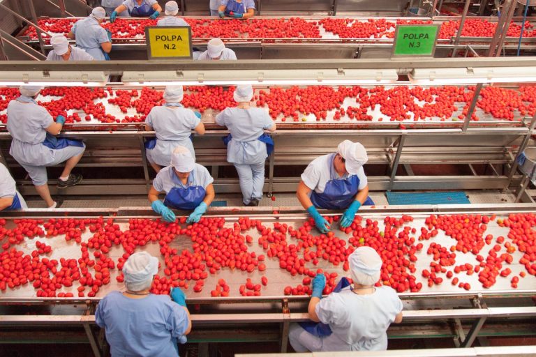 Importazioni di pomodoro. ANICAV, Industria in prima linea per una efficace azione di controllo a difesa del pomodoro italiano, anche dai continui attacchi che confondono i consumatori