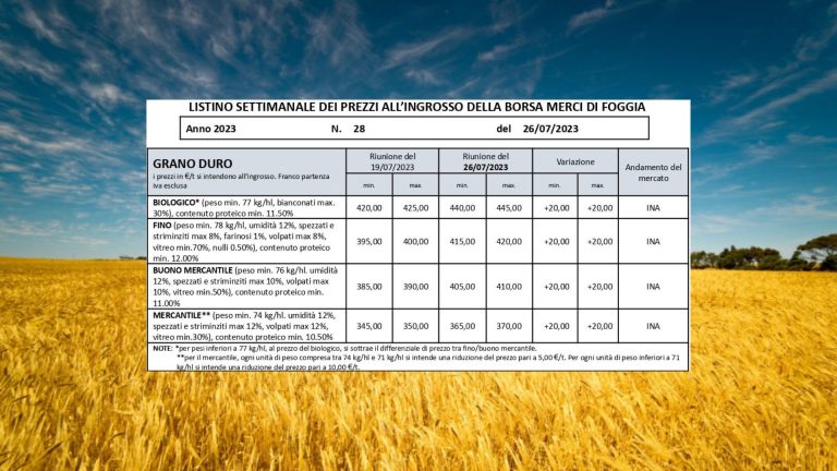 Grano duro: a Foggia il Fino arriva a 420 euro a tonnellata. Più 20 euro anche per il biologico