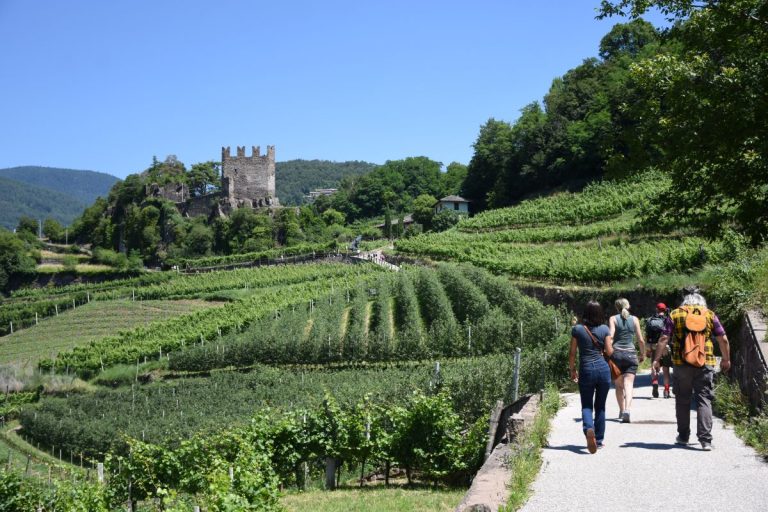 XXXVI rassegna Müller Thurgau: Vino di Montagna, presentato il programma