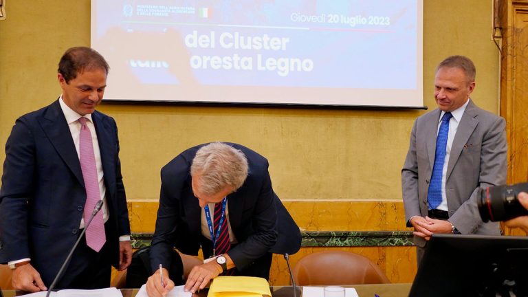 Legno. Nasce il primo Cluster nazionale. Lollobrigida: Centrato obiettivo Strategia Nazionale Forestale per una filiera 100% italiana