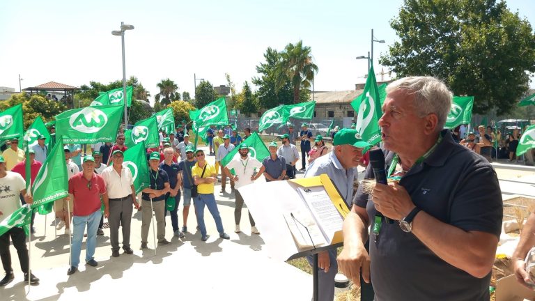 Grano, verso incontro CIA-Lollobrigida. Sicolo (Puglia): Sovranità non sia solo una targa sul Ministero