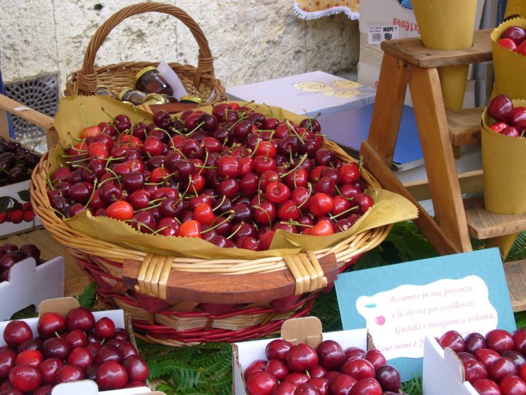 Ciliegia di Lari: da oggi una nuova IGP sul fronte dell’ortofrutta italiana