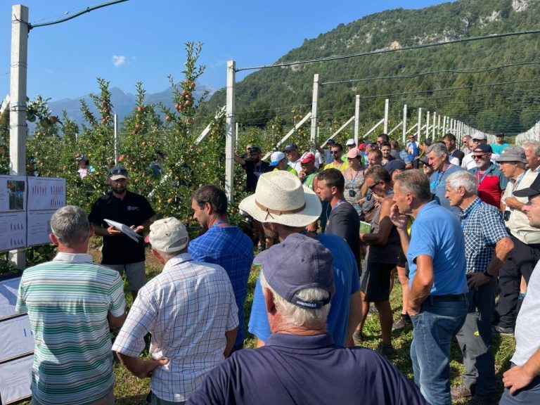 Formazione. Porte aperte al frutteto sperimentale di Denno, 230 agricoltori a lezione