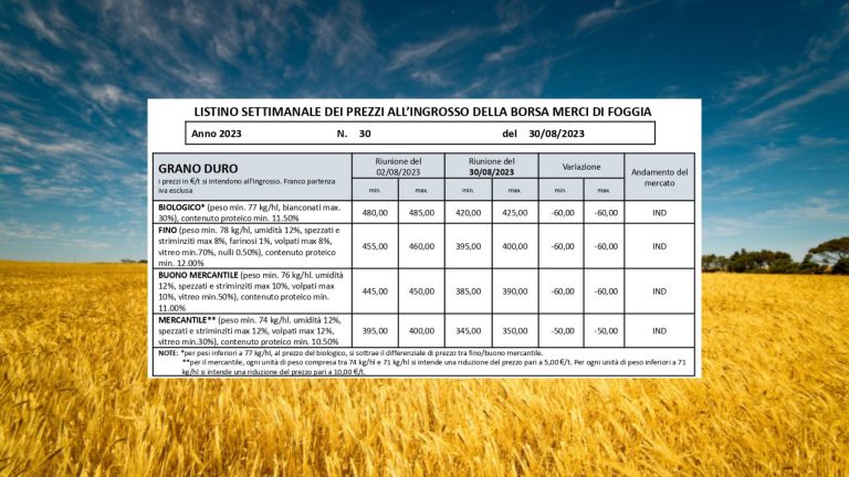 Grano duro a picco. Riapre la Borsa di Foggia: quotazioni a – 60 euro a tonnellata. Il Fino a 395-400 euro; crolla anche il biologico