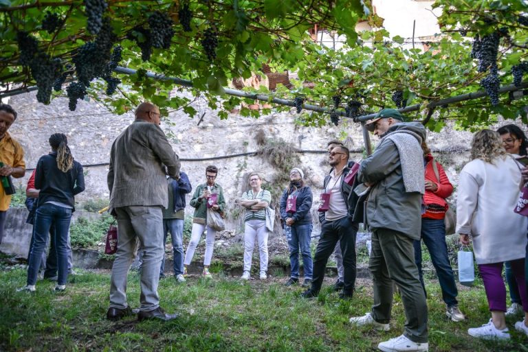 A Isera (Tn) dal 7 al 10 settembre si celebra il Marzemino