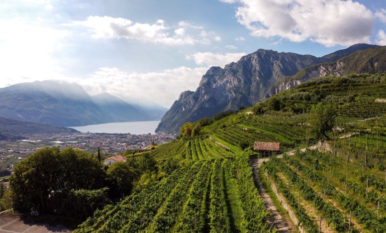 DiVin Ottobre, in Trentino l’autunno si tinge di gusto