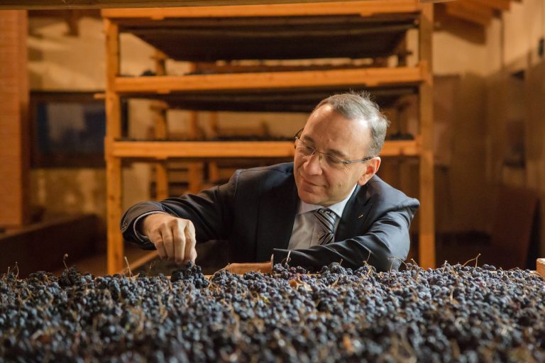 Cantina Valpolicella Negrar: una vendemmia da professionisti a causa del clima. L’accento sulle varietà