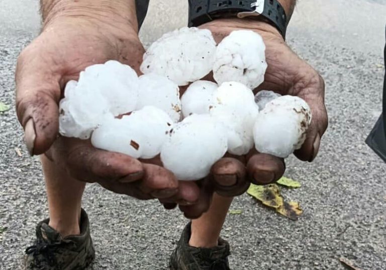 Disastro grandine in Puglia. Vigneti, oliveti, pomodori distrutti: gravi danni per tutta l’agricoltura