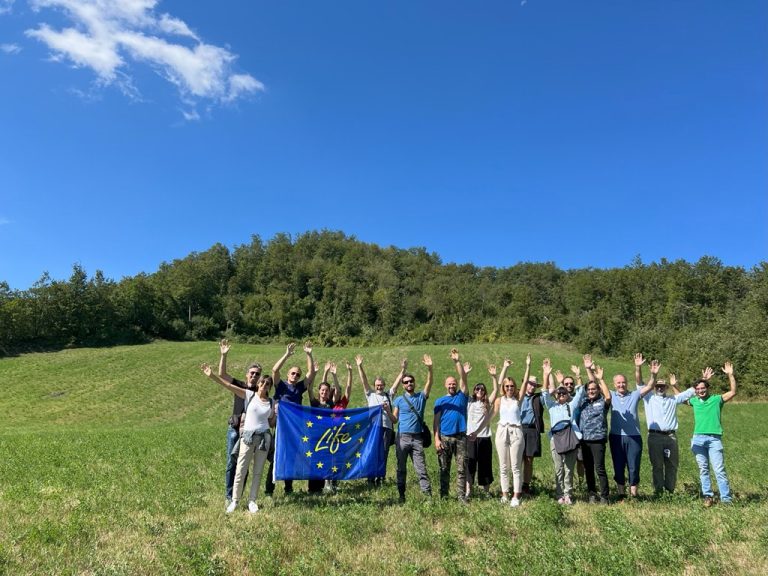 CO2 nei terreni: così l’agricoltura aiuta l’ambiente riducendo i costi di produzione