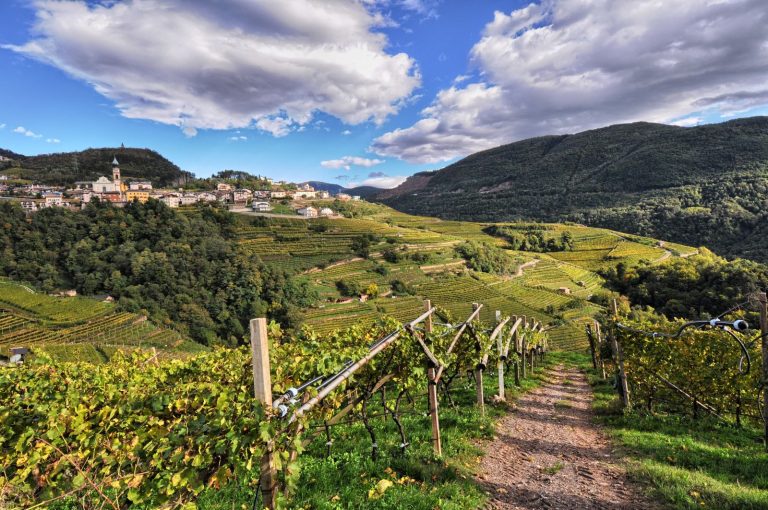 DOLO-VINI-MITI, dal 6 al 15 ottobre il festival dei vini verticali in Val di Cembra