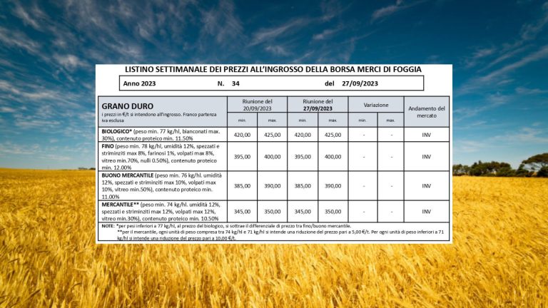 Grano duro nessun rialzo. A Foggia quotazioni inchiodate da 4 settimane: il Fino resta a 395-400 euro a tonnellata