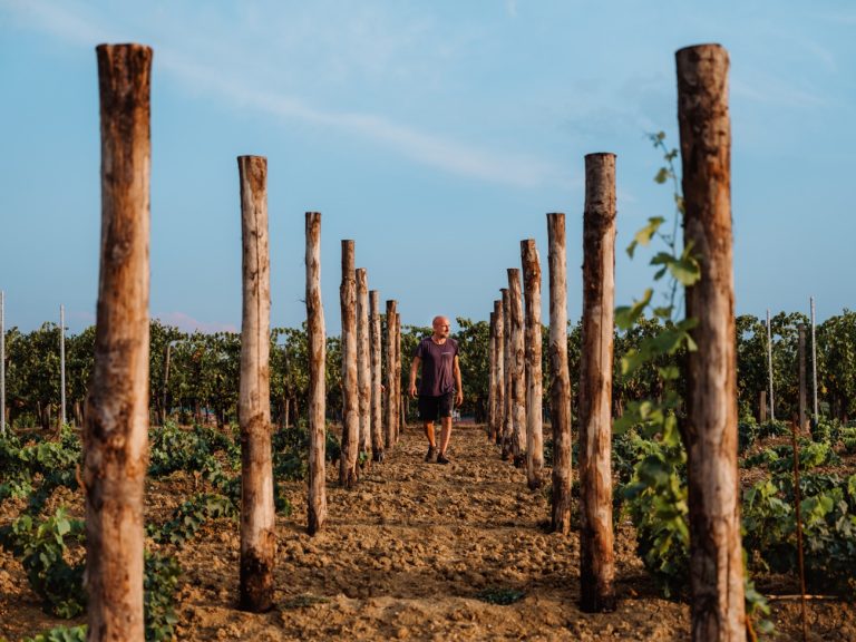 Vendemmia: in Umbria ritardo sull’inizio e annata difficile per quantità e qualità