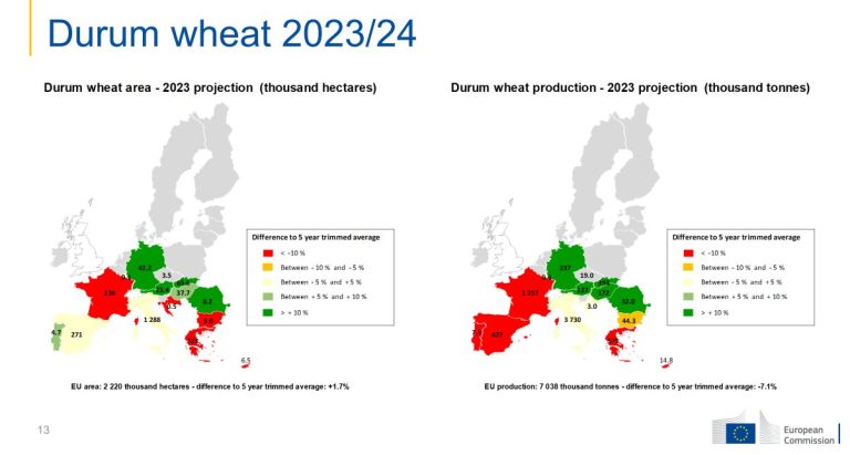 Grano duro: cala la produzione europea e aumento senza sosta la Turchia (e l’export).