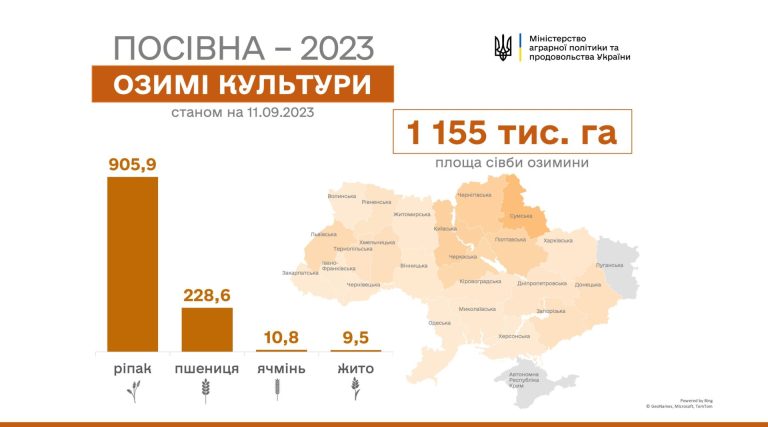 Seminati in Ucraina quasi 1,2 milioni di ettari di colture invernali. Oltre 228mila sono a grano